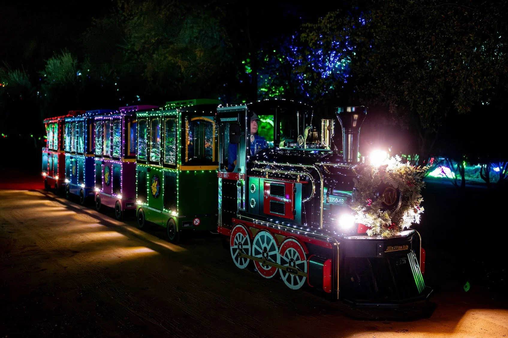 Train Ride | Discover Holiday Trains — Book Your Ride Today